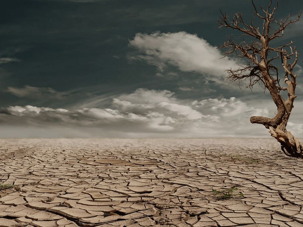 CHANGEMENT CLIMATIQUE :  L’INFLUENCE AMÉRICAINE DANS L’ÉLABORATION D’UN CADRE JURIDIQUE INTERNATIONAL