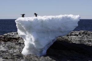 melting-ice-climate-change-reaching-irreversible-levels